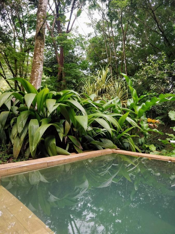 Los Mineros Guesthouse Dos Brazos Екстериор снимка