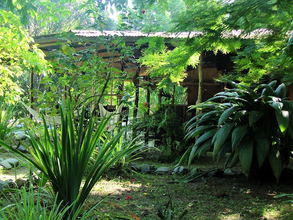 Los Mineros Guesthouse Dos Brazos Екстериор снимка
