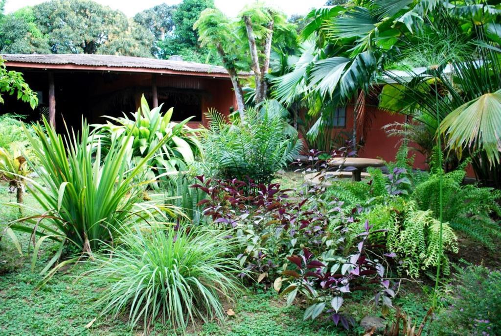 Los Mineros Guesthouse Dos Brazos Екстериор снимка