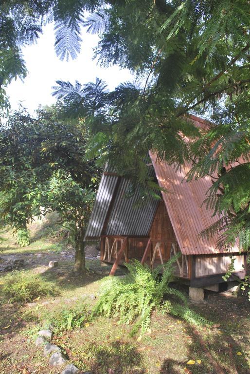Los Mineros Guesthouse Dos Brazos Екстериор снимка