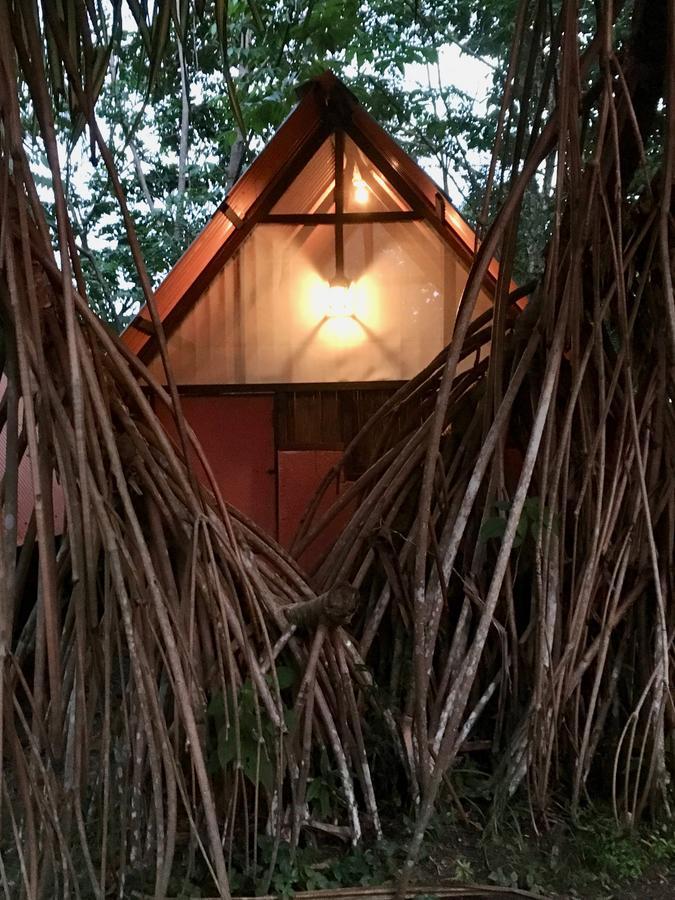 Los Mineros Guesthouse Dos Brazos Екстериор снимка
