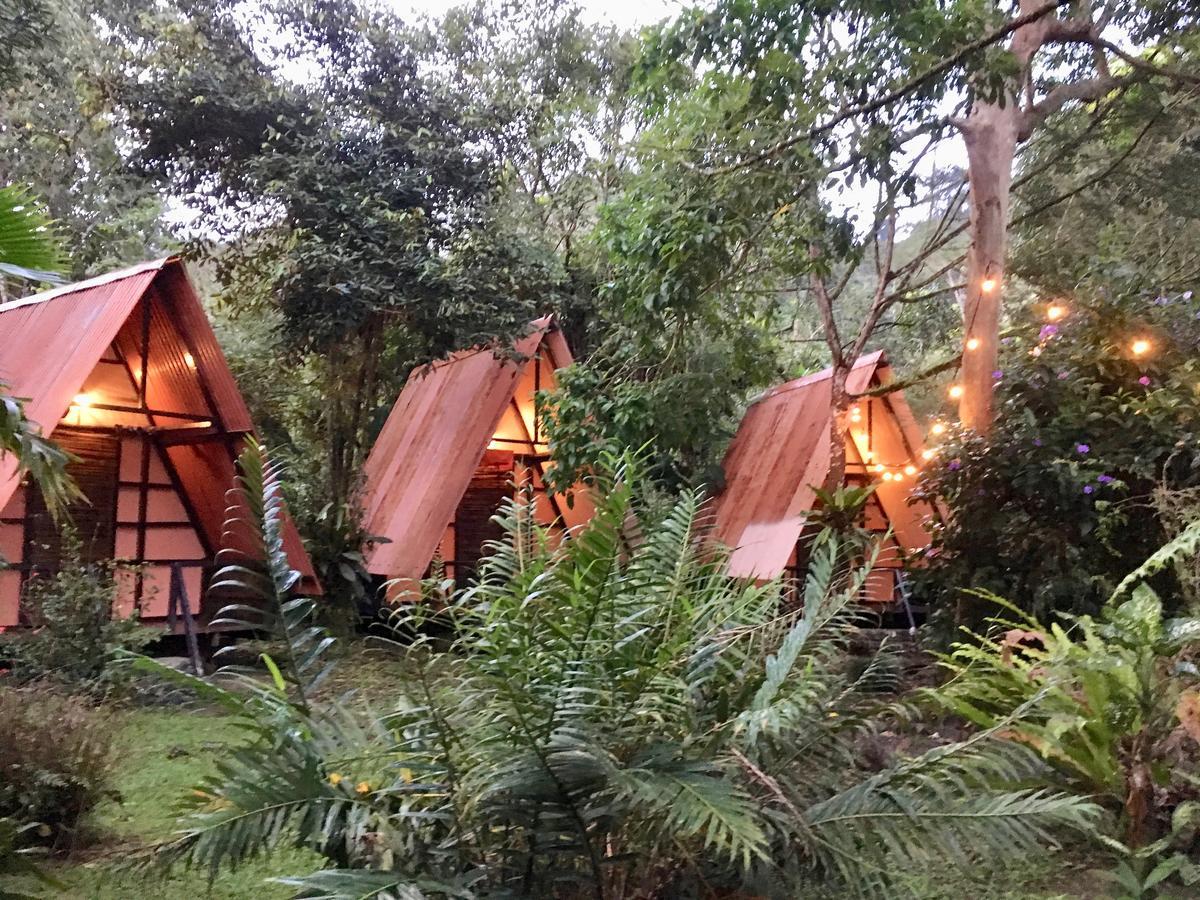 Los Mineros Guesthouse Dos Brazos Екстериор снимка
